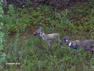 Дома для отпуска Holiday Home Rukan etelärinne b Рука Дом для отпуска-13